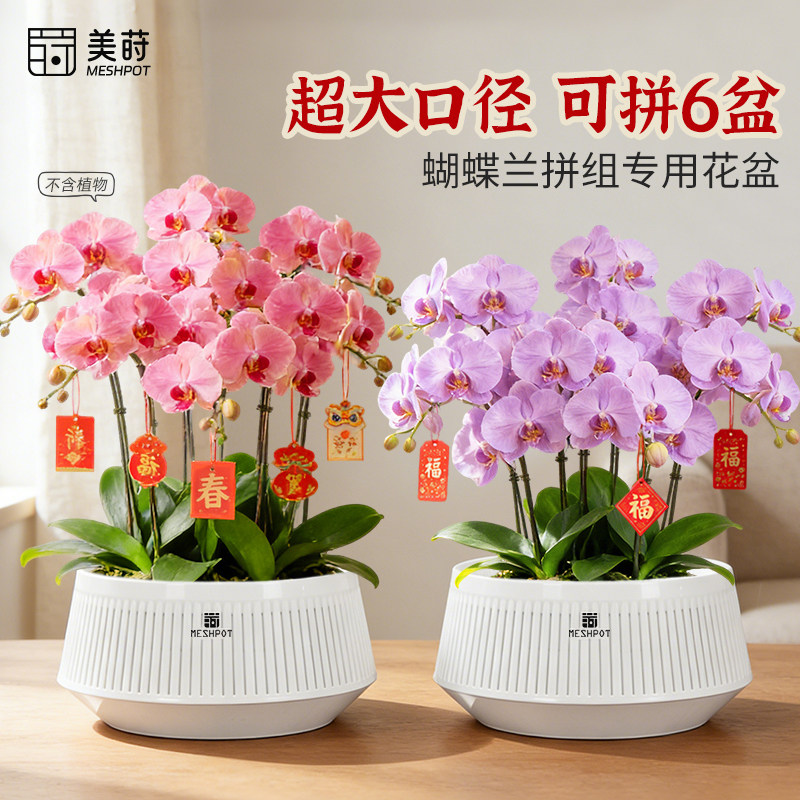 新款美莳蝴蝶兰专用花盆大口径拼组控根透气水苔轻奢高级感套盆,鲜花速递/花卉仿真/绿植园艺,花盆,淘宝优惠券,粉丝福利购,淘宝优惠卷