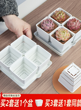 美莳多肉控根花盆四方组合透气塑料花架专用小白方带底座托盘小号