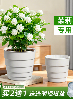 茉莉花专用花盆大号塑料透气虎头垂丝风车栀子花老桩盆栽控根青山