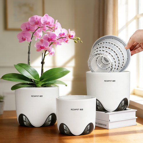 【专利设计】双层蝴蝶兰专用花盆