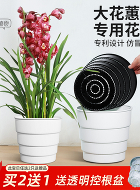 美莳大花蕙兰专用花盆透气防烂根大口径兰花塑料花瓶惠兰控根套盆