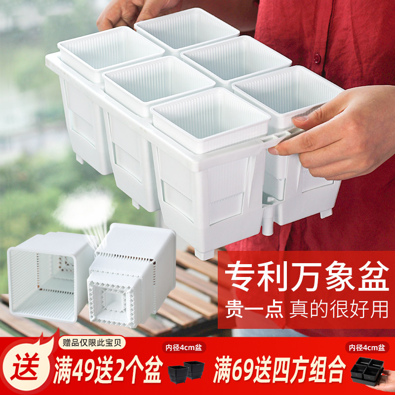 美莳玉露多肉控根花盆深高花架万象十二卷仙人球生石花塑料专用盆