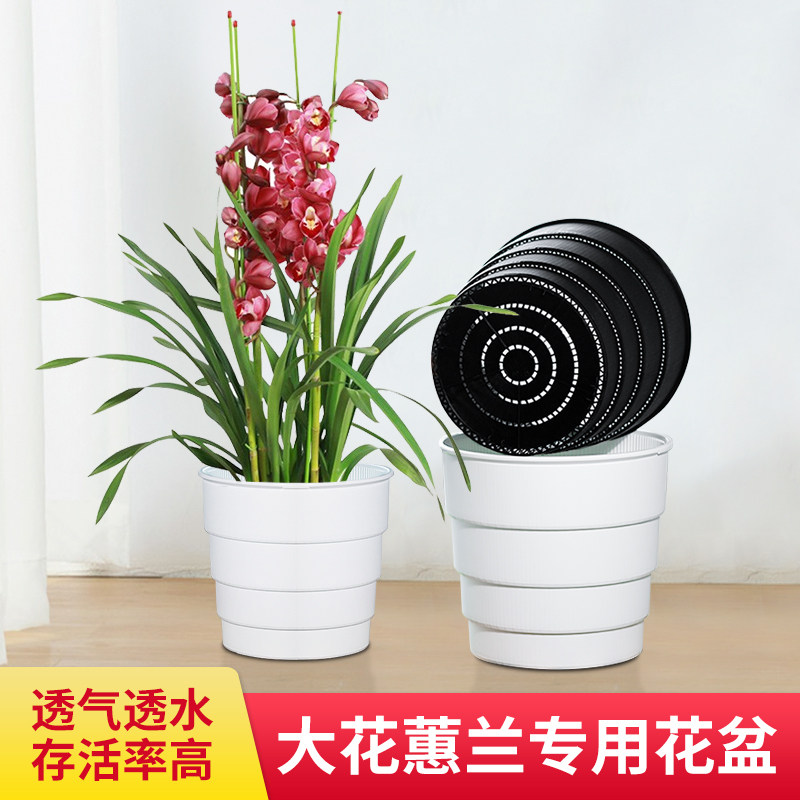 美莳大花蕙兰专用花盆透气防烂根大口径兰花塑料花瓶惠兰控根套盆_虎窝淘