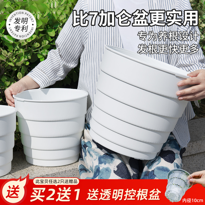 超大号美莳控根花盆透气月季专用
