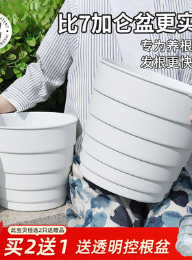 美莳大口径控根花盆特大号绣球专用塑料透气30以上的青山5加仑盆