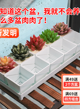 美莳多肉专用花盆小号白色树脂套装精致植物控根塑料架子底座托盘
