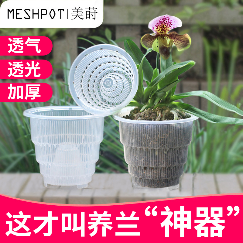 美莳透明蝴蝶兰控根花盆透气洋兰专用盆大号塑料树脂家用石斛花盆 Meshpot旗舰店