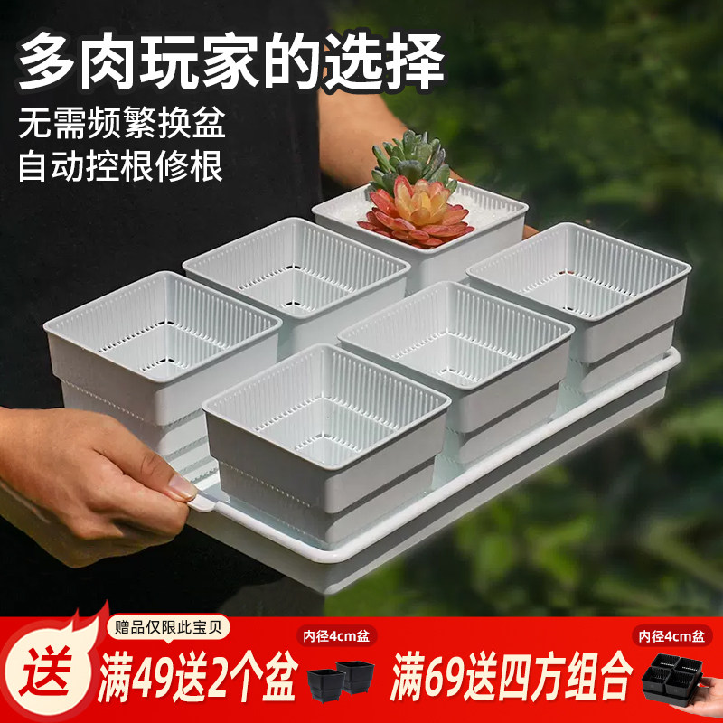 美莳多肉控根花盆带托盘大号塑料创意透气肉肉植物长条形套装组合