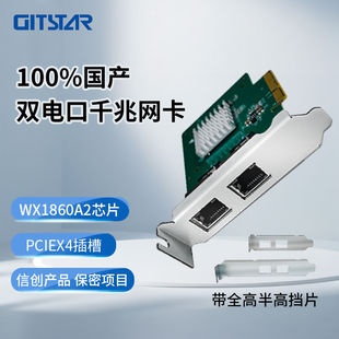 GITSTAR集特 100%国产双电口千兆网卡GEE-102
