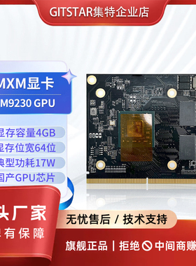GITSTAR集特国产景嘉微MXM显卡JM9100显存4G