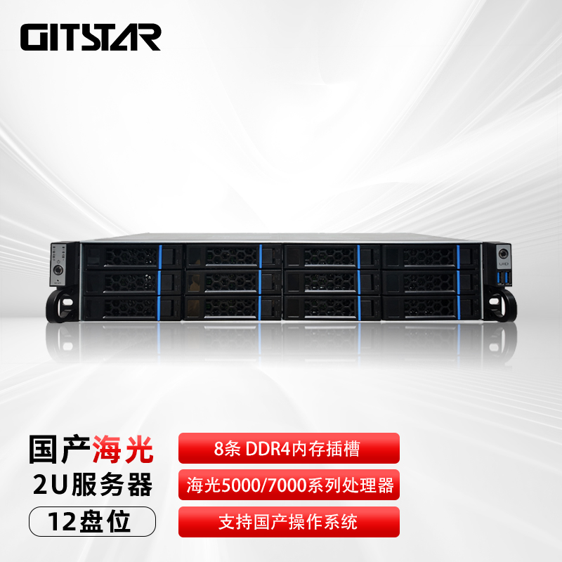 GITSTAR集特海光单路2U服务器