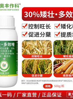 奥丰矮壮多效唑控制旺长矮化植株果树蔬菜农用奥潍正品生长调节剂