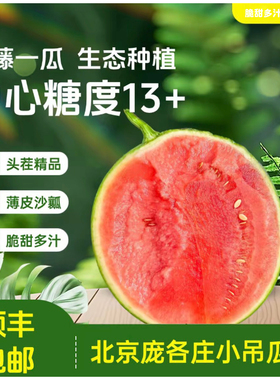 顺丰当季大兴庞各庄小西瓜L600头茬吊瓜水果水果小糖丸西瓜