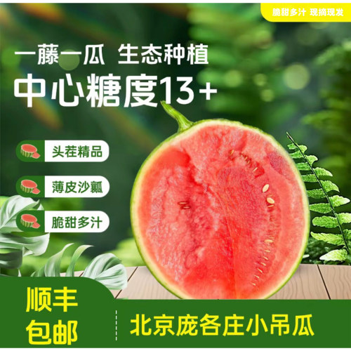 顺丰当季大兴庞各庄小西瓜L600头茬吊瓜水果水果小糖丸西瓜