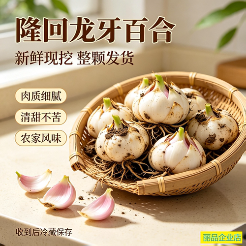 正宗隆回龙牙鲜百合整颗现挖