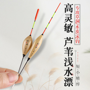 浅水芦苇漂打浮专用浅水短漂高灵敏鲫鱼漂草洞水皮白条浮漂冰钓漂
