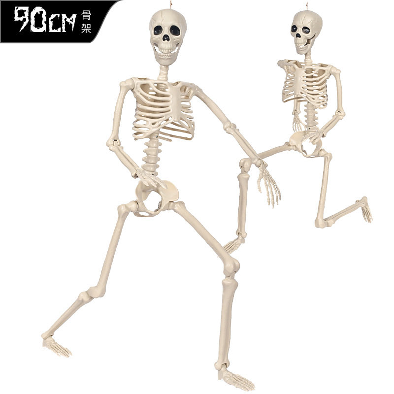 Halloween plastic skeleton skeleton active joint model teac图片