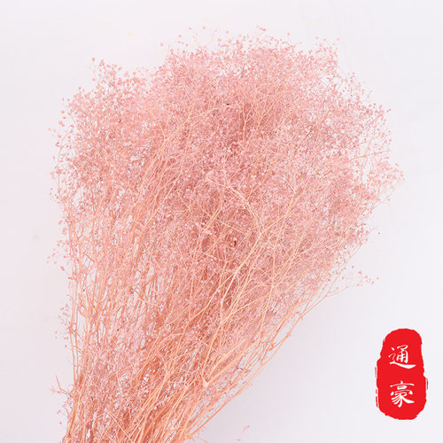 Eternal Starry Sky, Colorful Million Small Starry Sky, Pres