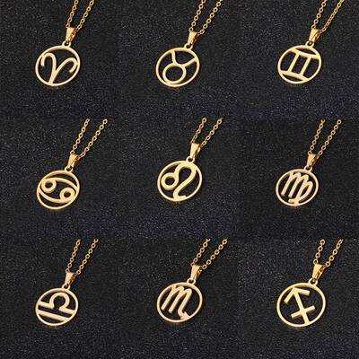 Rinhoo Stainless Steel Star Zodiac Sign Necklace 12 Constell
