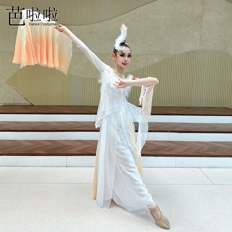 古典舞蹈服少儿女童仙气扇子舞剧目服白鹭飘逸大裙摆练功服演出服