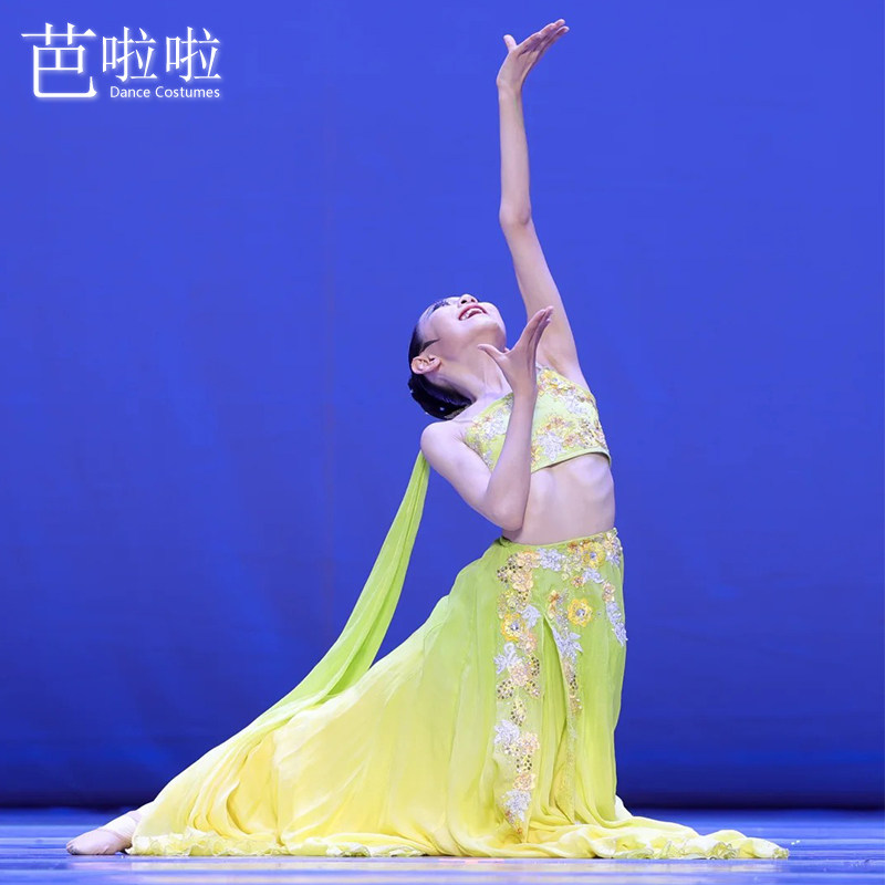 傣族哨哆哩女舞台演出服