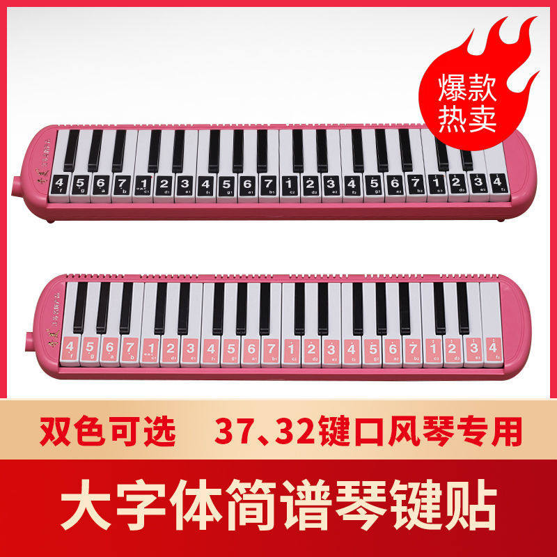37键口风琴专用琴键贴 32键口风琴音符标 简谱贴音名贴