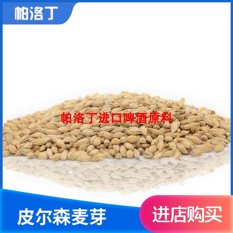 Malteurop 法国欧麦皮尔森麦芽2-4.5EBC精酿自酿原料基础麦芽500g