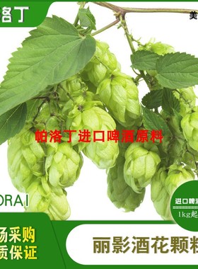 Loral丽影啤酒花颗粒 美国罗拉啤酒花 精酿啤酒原料50g/1kg