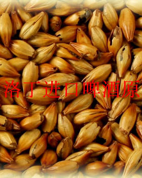 新西兰Gladfield乐斐红色焙制麦芽60-80EBC 精酿自酿啤酒原料500g