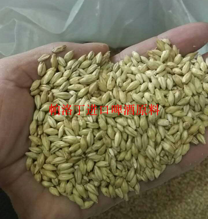 燕京澳洲大麦芽 基础澳麦芽 淡色麦芽 精酿自酿啤酒原料1kg