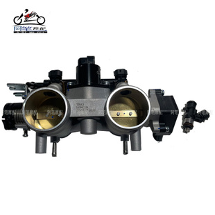 隆鑫LX800-2A无极DS800X原装节气门体总成 喷油器 喷油器卡箍