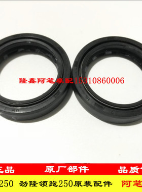 隆鑫GP250 LX200-18 LX200-19无极200R 200AC装前减油封