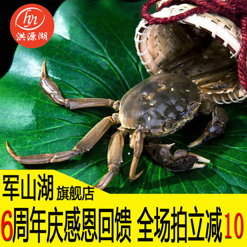 军山湖大闸蟹特大母蟹