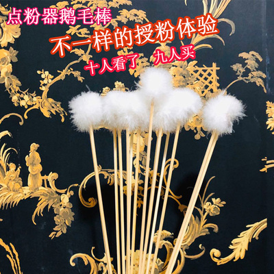 鹅毛棒授粉工具沾粉不伤花柱