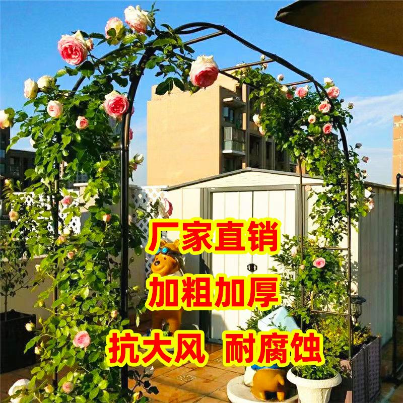 铁艺拱门花架爬藤架庭院户外鲜花拱门月季爬藤架花园爬藤架花支架