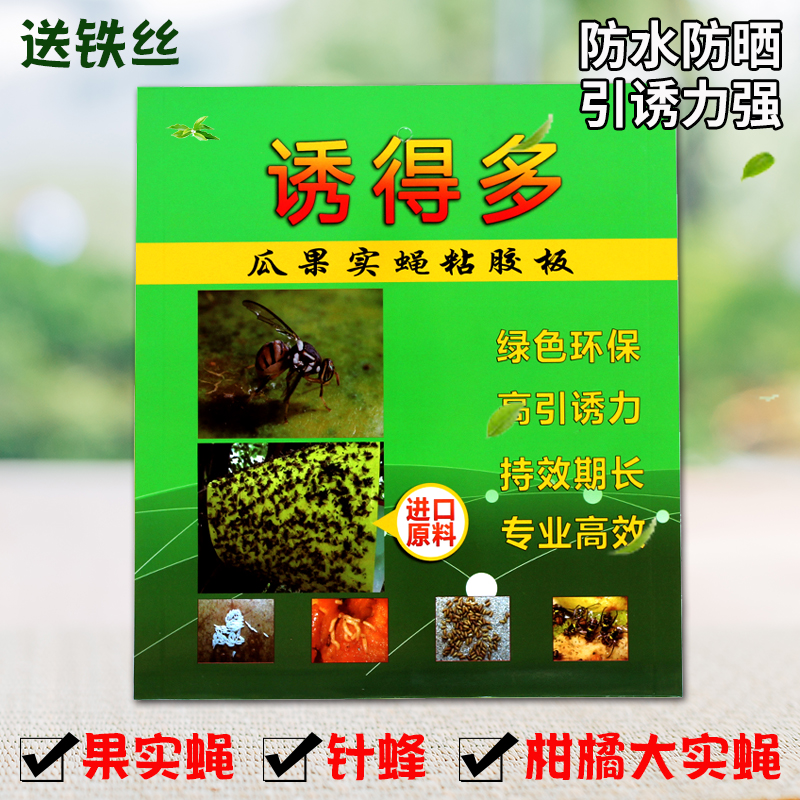 诱得多实蝇粘胶板针蜂粘果蝇贴果园苍蝇蜜蜂贴瓜果树粘蝇板果实蝇