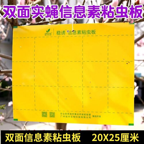 瑞丰双面黄色菜地瓜果实蝇粘虫板