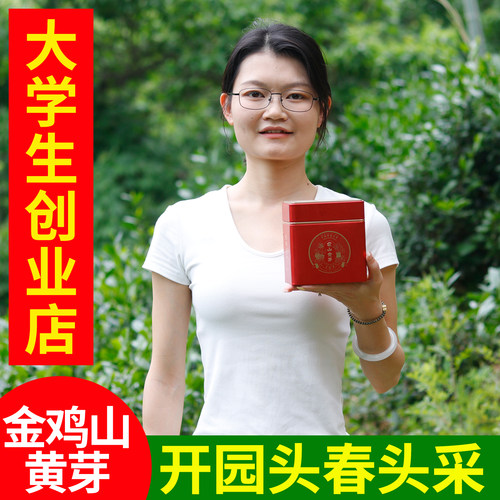 2026新茶霍山黄芽开园头采嫩芽