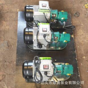 便携式齿轮油泵WCB50齿轮泵手提式齿轮油泵WCB齿轮泵柴油泵