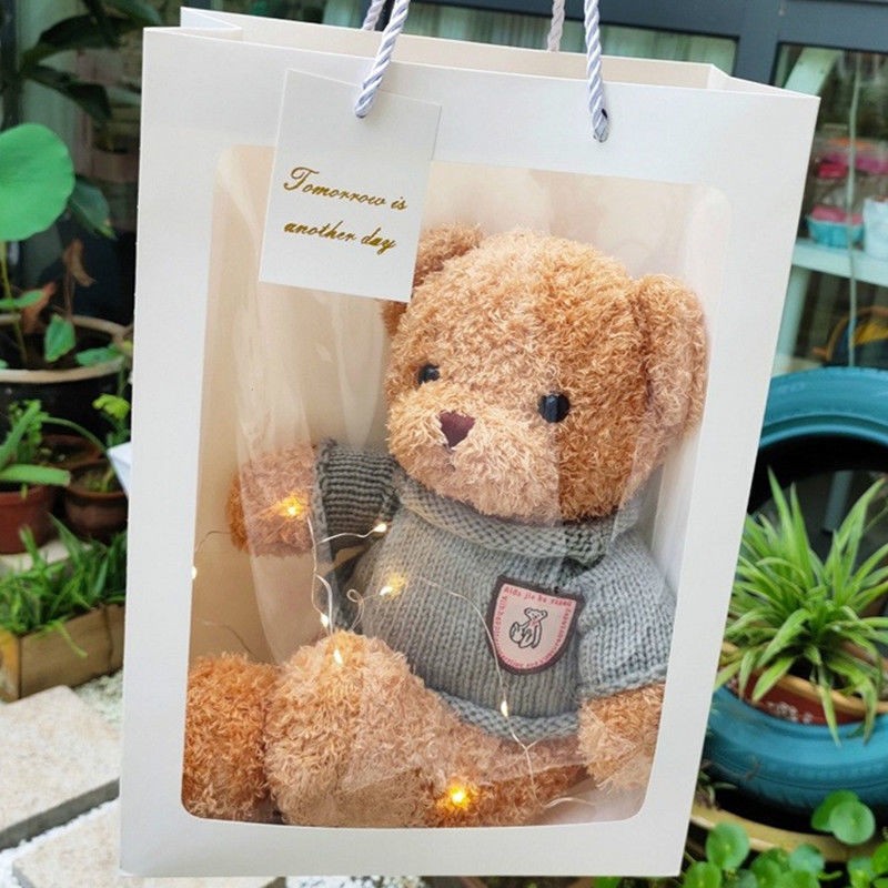 夏季巨型公主动物可爱夏日kt品牌棕色毛绒公仔短毛绒毛绒玩具