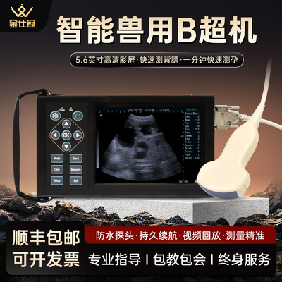 兽用猪牛羊用B超机测孕仪器高清彩屏便携式彩超仪超声验孕检孕仪