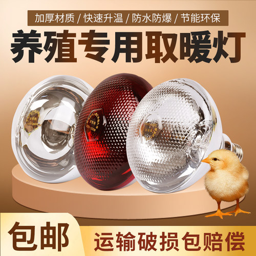 保温灯养殖场专用取暖灯