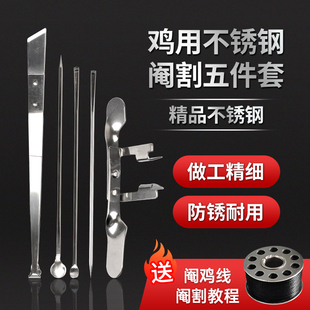 不锈钢大鸡小鸡专业阉鸡工具全套公鸡阉割刀神器快速阉鸡器阉割线