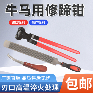 修蹄锉刀大号平口剪蹄钳马房用品牛蹄剪刀 马用修蹄钳兽用修蹄套装