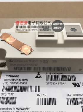 全新原装BSM300GA170DN2 BSM300GA170DN2S功率模块