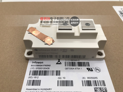 全新原装BSM300GA170DN2 BSM300GA170DN2S功率模块