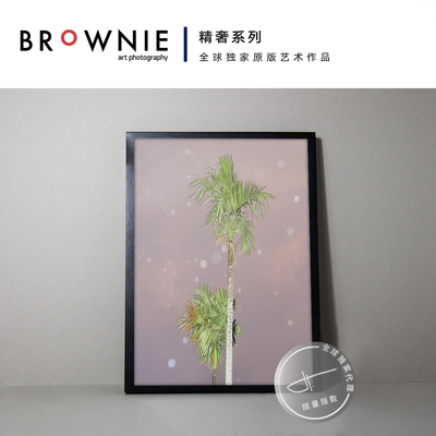 BROWNIE艺术摄影 原版限量 装饰画 东杰·蒂勒森《季风》
