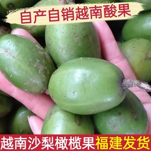 太平洋莎梨泰国新品种无籽水果咖喱啰版纳特产南洋橄榄嘎里罗包邮