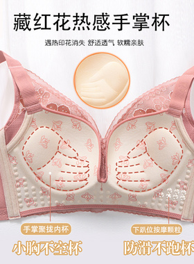 简密小胸平胸聚拢显大无钢圈加厚内衣高侧比收副乳防下垂上托文胸