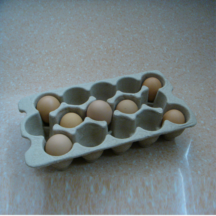 15枚高角环保鸡蛋托鸡蛋盒纸浆鸡蛋托土鸡蛋包装盒手工创意